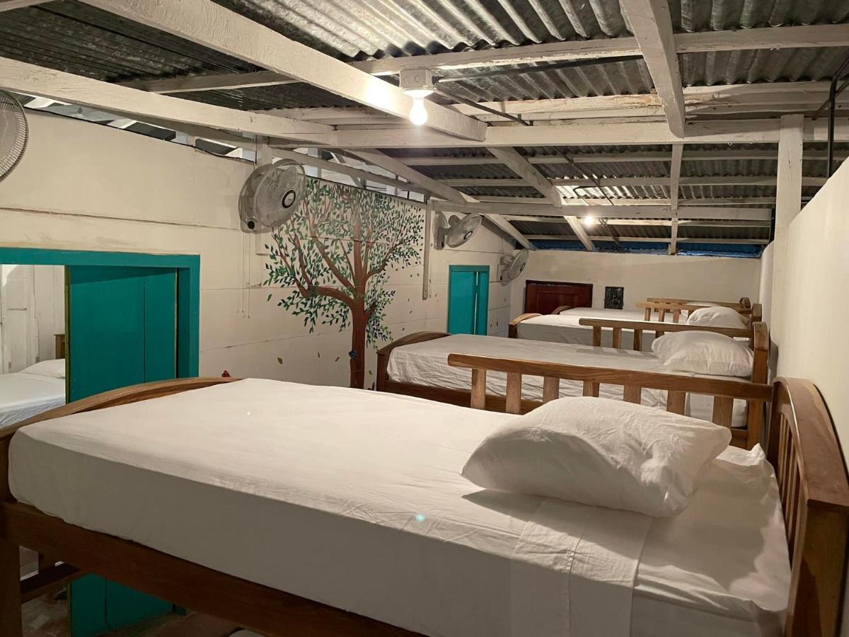 Mango Cafe And Hostel 산 후안 델 수르 외부 사진