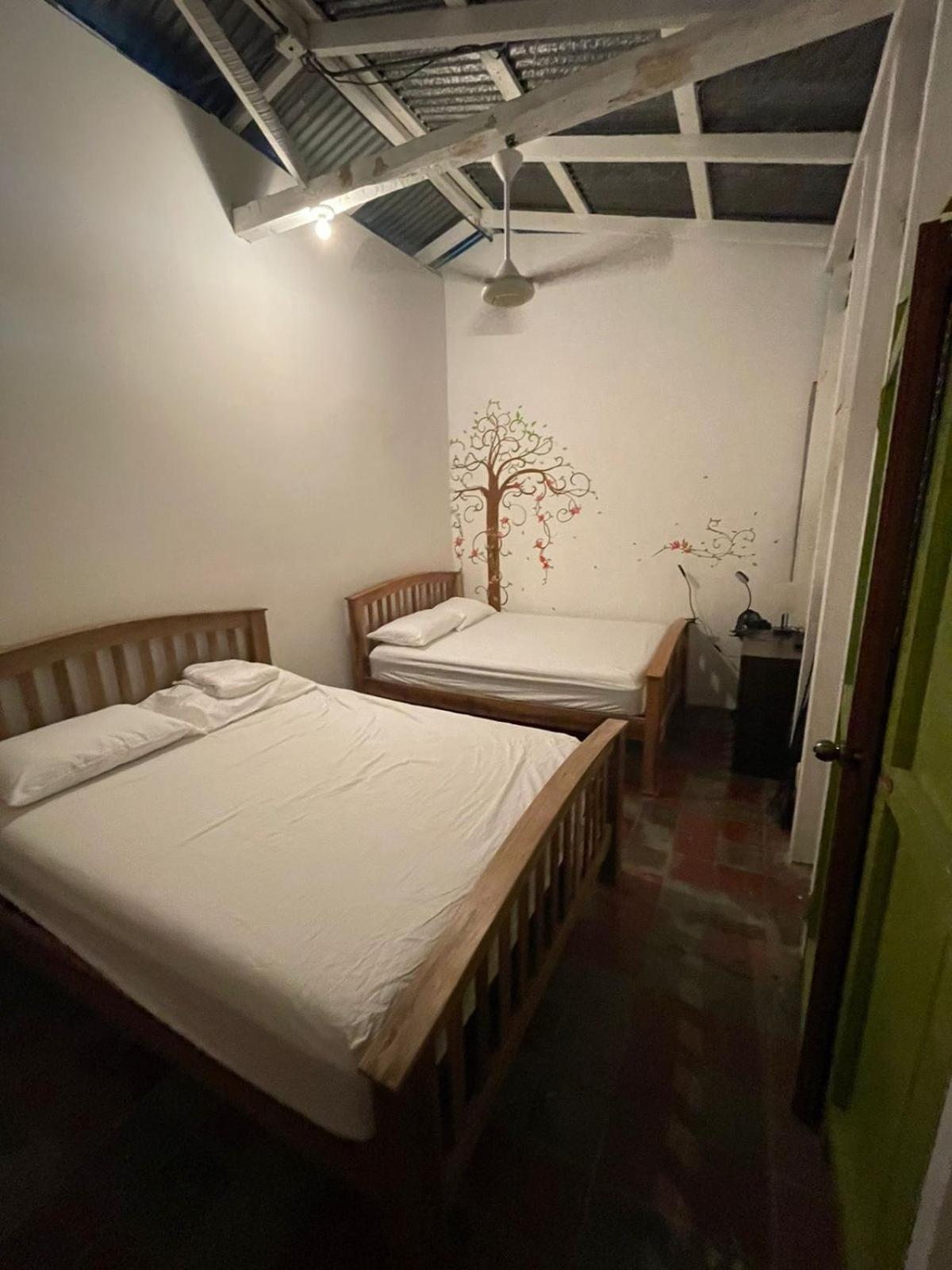 Mango Cafe And Hostel 산 후안 델 수르 외부 사진